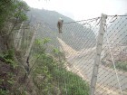 供应护山坡网
